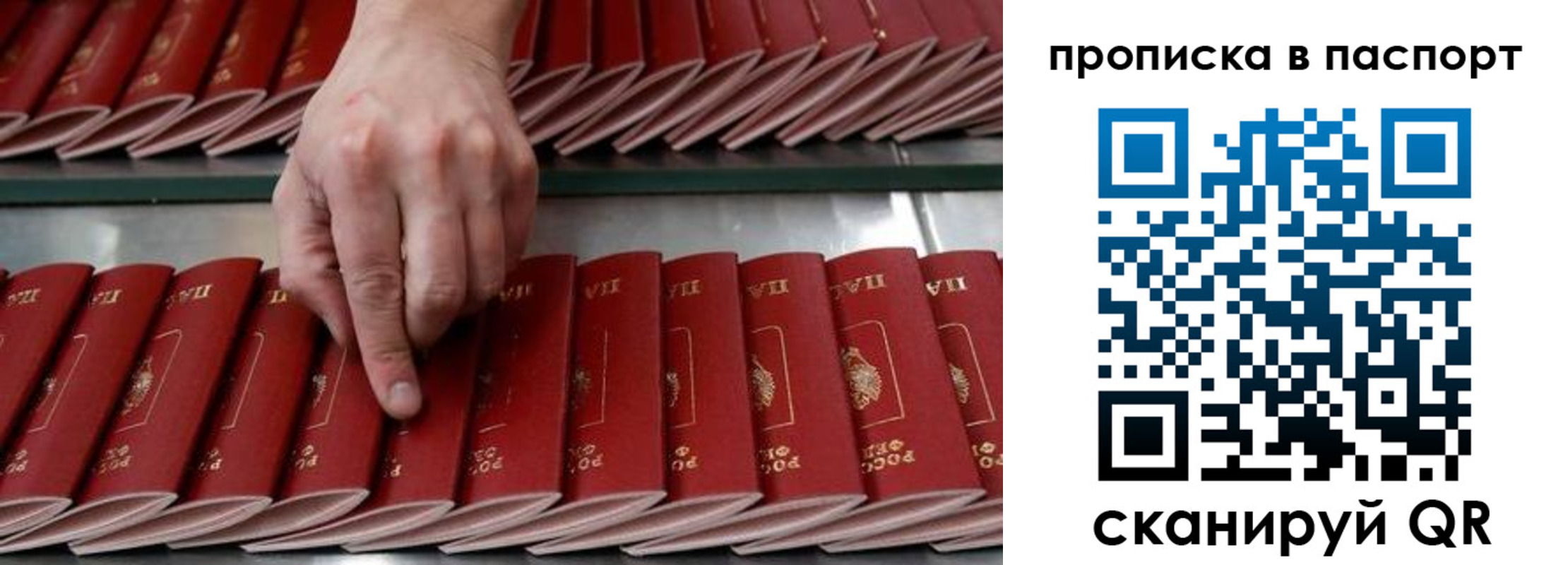 регистрация для школы в Владимирской области